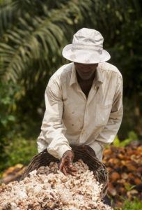 Imagen: Coordinadora Estatal de Comercio Justo / Fairtrade