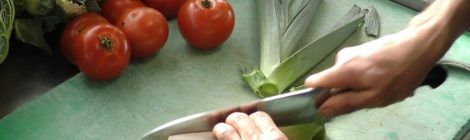 Alimentación saludable y Economía Circular: Proyecto Bizi Berri Janaria