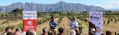 Nuevo proyecto social de Brins d’Oportunitats - Viñedo y olivos en Piera, Aonia (Cataluña)