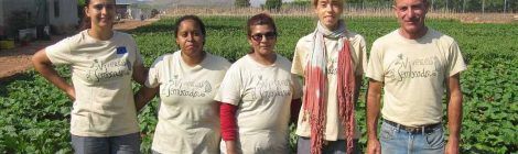 En Albacete "Verduras con Corazón" promueve el consumo responsable y apoya el empleo social